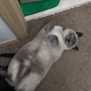 Meet your Posher, Sebastian